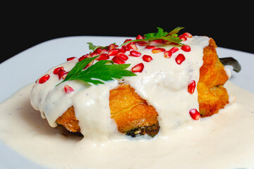 Mexican Cuisine Chile en nogada