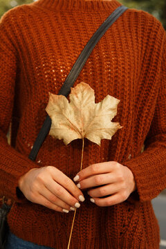 Woman holding dry leaf in hands