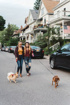 Two female friends in their twenties playing with their dogs outside in autumn