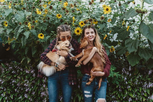Two female friends in their twenties playing with their dogs outside in autumn