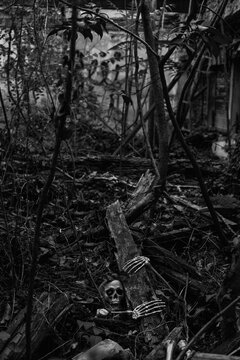 Halloween Horror Concept