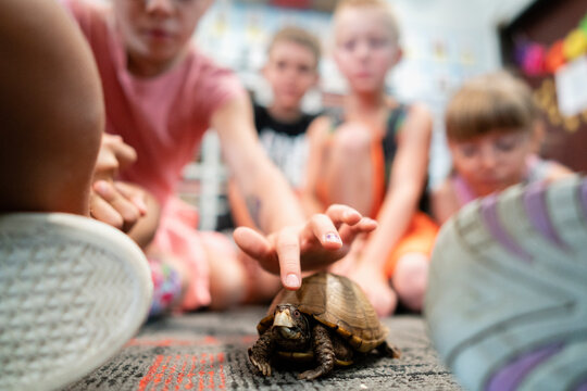 Students on Classroom Floor with Tortoise