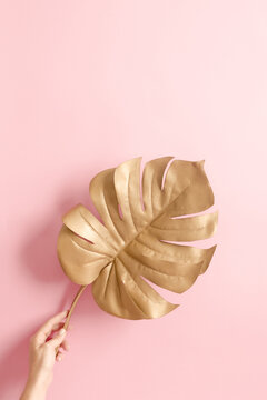 Woman hand holding a big golden leaf