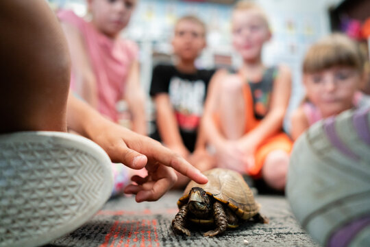 Students on Classroom Floor with Tortoise