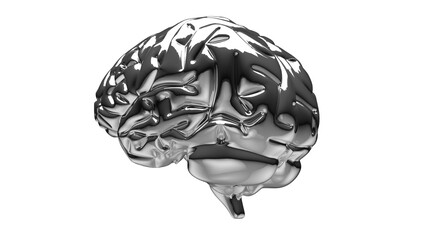 silver brain