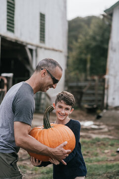 Pumpkin patch