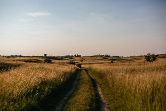 Landscape of a golden field and country road at sunset