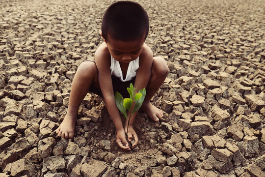 An Asian boy is trying to grow a tree on a barren and cracked ground.