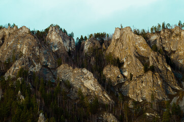 High stone cliffs covered with trees. Mountain landscape. Wildlife.