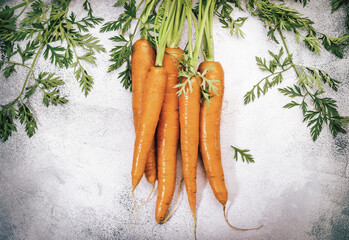 Fresh carrots bunch on grey stone background. Top view frame with copy space