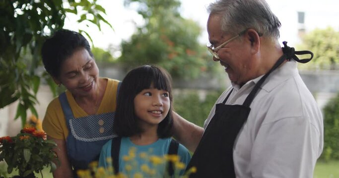 Slow motion of grandparents, old couple or senior with Asian Thai kid girl planting flower, free time and relax activity of family at home	
