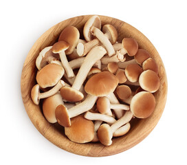 honey fungus mushrooms in wooden bowl isolated on white background with clipping path and full...