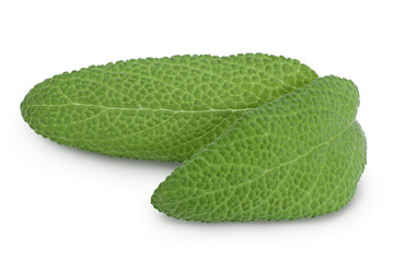 Sage herb leaves isolated on white background with clipping path and full depth of field. Top view. Flat lay