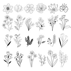 Vector collection flower and leaves design, Card design, Greeting Card, Poster, wedding card, Invitation card.