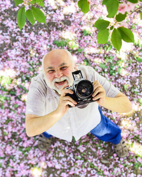 senior bearded man photographing pink blossom. professional photographer designer. happy retirement. man tourist use camera cherry blossom. sakura in full bloom photography. Easter is coming