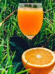 Orange juice