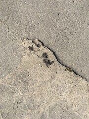 Fototapeta na wymiar Old cracked asphalt on a sunny day