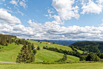 Paysage des Vosges.