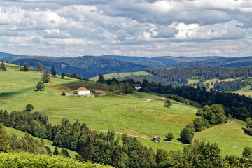Obraz premium Paysage des Vosges.