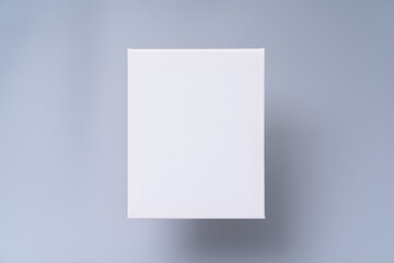 Blank white canvas frame on gray background