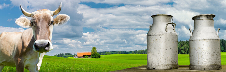 Obraz premium Kuh in grüner Landschaft im Allgäu