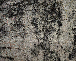 Abstract backdrop