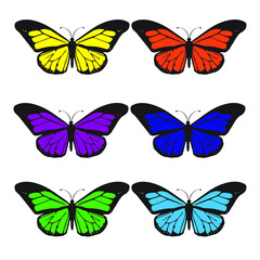 Obraz na płótnie Canvas mariposa