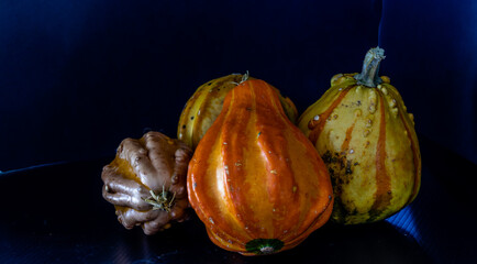 Gourds on a black background. Calgary, Alberta, Canada