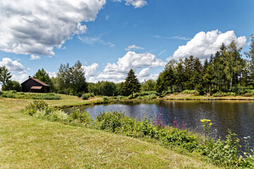 Fototapeta premium étang de haute-saône
