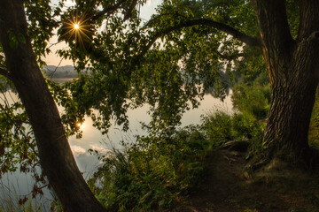 sunset in the forest, river, lake