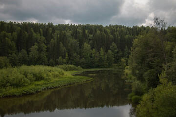 A small river in the middle of a green dense coniferous forest