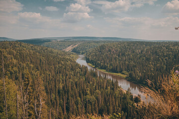 A large, dense, coniferous forest located along the river.