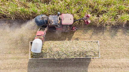 Aerial view of the Sugar cane harvesting 