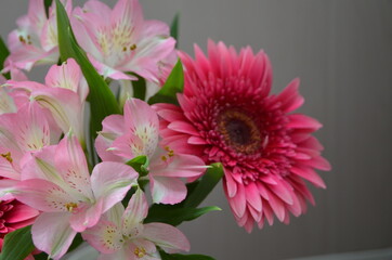 Beautiful bouquet with gerberas. Fresh large pink flowers