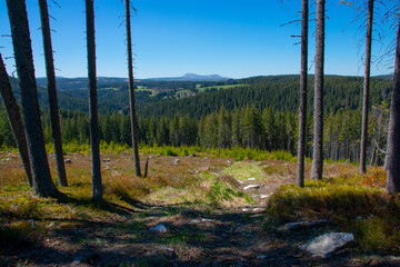 View on Roklany - Sumava National Park in Czechia