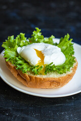poached egg sandwich delicious snack ingredient organic eating healthy top view place for text copy space