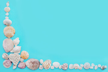 turquoise background with a corner of light seashells and white small stones