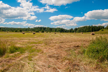 Obraz premium Hay, mown grass, bales of hay in the field. Countryside.