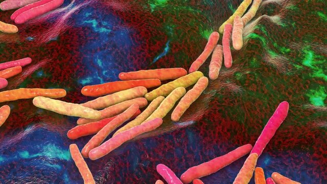 Bacteria Mycobacterium tuberculosis, the causative agent of tuberculosis, 3D animation