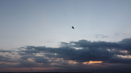 Fototapeta na wymiar the kite flew high when the sky was cloudy