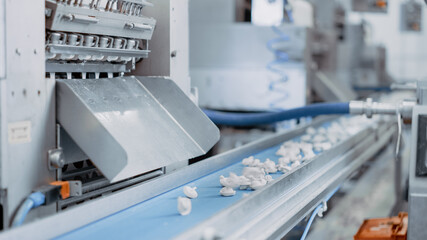 Automatic Machine Production Process at a Dumpling Factory. Fresh Raw Pelmeni Fall On the Conveyor Belt. Industrial Machinery Operating at a Food Factory.