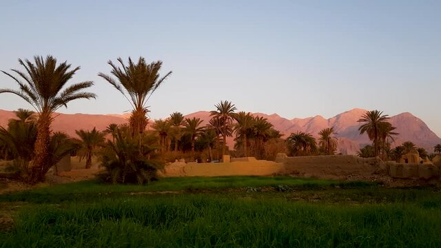 B-roll rice fields and palm trees, mud house buildings, ruins and mountain in background in a golden sunset