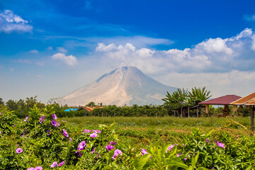 A view of Mount Sinabung over agricultural land in North Sumatra, Indonesia