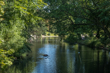 Fototapeta na wymiar Views around Botanic Gardens, Southport, Merseyside, UK. August 2020.