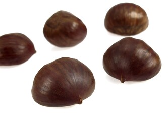 CHESTNUTS castanea sativa AGAINST WHITE BACKGROUND