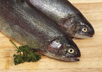 FRESH RAINBOW TROUT salmo gairdneri WITH PERSLEY