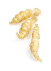 CROSNE OR CHINESE ARTICHOKE stachys affinis AGAINST WHITE BACKGROUND