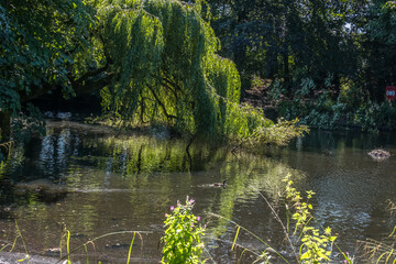 Views around Botanic Gardens, Southport, Merseyside, UK. August 2020.