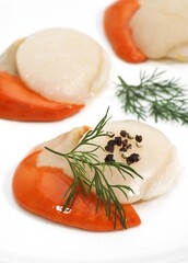 FRESH SCALLOPS pecten maximus WITH DILL AGAINST WHITE BACKGROUND