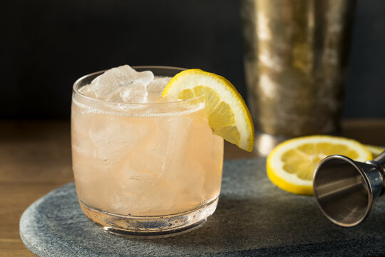 Boozy Sour Gin Fitzgerald Cocktail